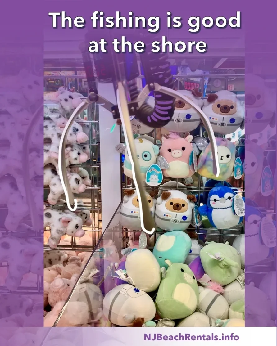 Crane game for the win!
